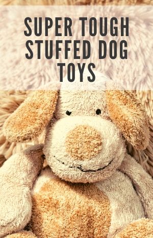 stuffed dog of your dog